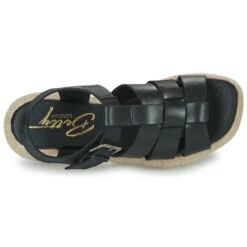 Betty London Camelia -Betty London 24278533 500 F