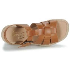 Betty London Camelia -Betty London 24278534 500 F